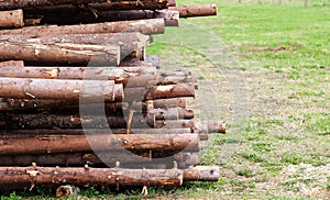 Pile of logs