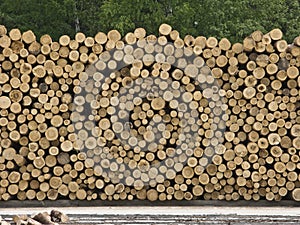 Pile of logs