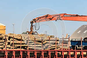 Pile of logs at the port ready for loading to ships