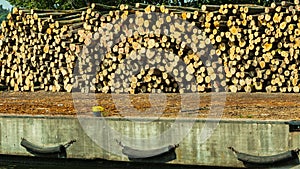 Pile of logs at the port ready for loading to ships
