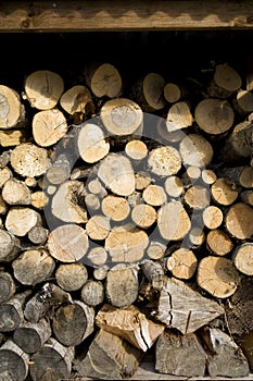 A pile of logs stored as firewood