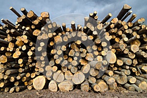 Pile of lumber on the lumberyard in spring