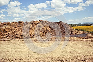 Pile of manure in the countryside with blue cloudy sky. Heap of dung in field on the farm yard with village in background