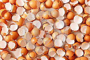 Pile of many broken brown eggshells photo
