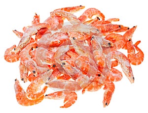 Pile of many frozen boiled red shrimps isolated