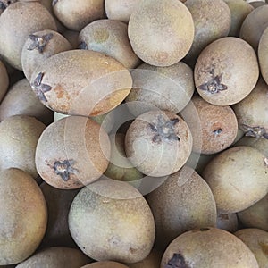 A pile of medium sized sapodilla fruit sold by traders at the fruit market