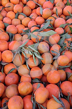 Pile of natural and ecologic orange