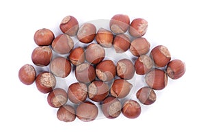 Pile of natural hazelnuts