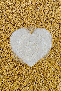 Pile of natural rice grains in heart shape