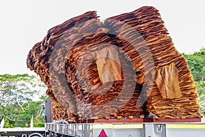 Pile of natural rubber sheets in a factory in Thailand