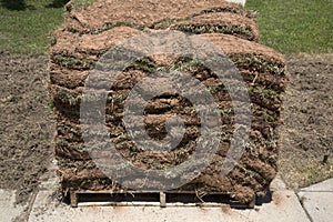 Pile of new lawn sod
