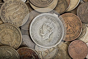 Numismatics collection of coins photo