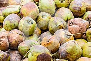 Pile of old coconuts on the ground, Thailand.