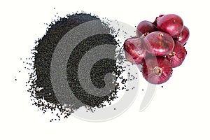 A pile of onion seeds and a bulb on a white background