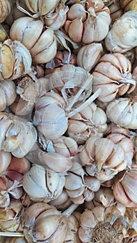 A pile of onion sold in the groceries