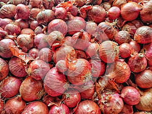 Pile of onions in orange- red tone.