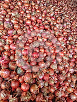 Pile of onions in orange- red tone.