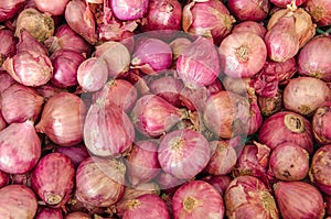 Pile of Onions, shallot is ingredient of thai food and catchup