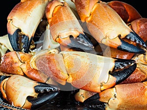 Pile of orange boiled with black tip, crab claws