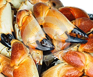 Pile of orange boiled with black tip, crab claws