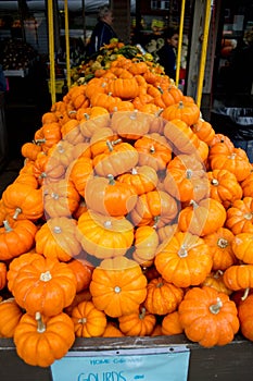 A Pile Orange Miniature Pumpkins at an Amish Market photo