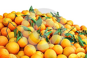 Pile of oranges isolated on white background