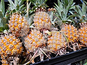 A pile of tropical pineapple fruit in a tray and selling at the food market.