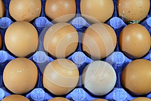 Pile of organic brown fresh and raw hen chicken eggs, stack of eggs isolated and ready to be cooked in various cuisines, selective