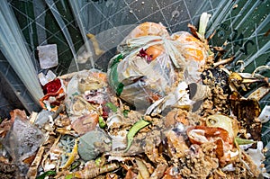 Pile of organic food waste trash in a plastic bag container being collected for recycling