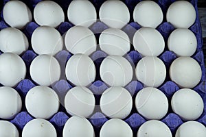 Pile of organic fresh and raw hen chicken white eggs, stack of eggs isolated and ready to be cooked in various cuisines, selective