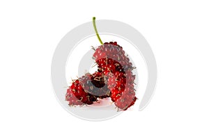 Pile of organic Mulberry fruits isolated on white background