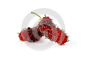 Pile of organic Mulberry fruits isolated on white background