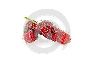 Pile of organic Mulberry fruits isolated on white background