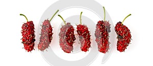 Pile of organic Mulberry fruits isolated on white background