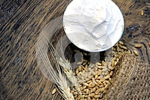 Pile of organic whole grain wheat. Fresh harvested wheat grain on wheat flour background.