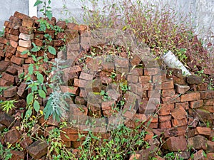 A pile of overgrown red bricks. Forget building material. A pile of stones