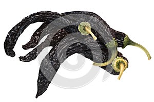 Pasilla chilaca dried peppers, top, paths photo