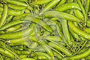 Pile of pea pods background. Macro