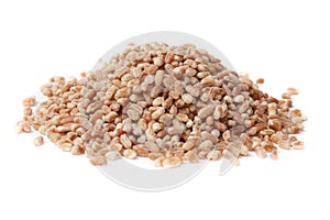 Barley grains