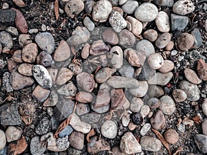 pile of pebbles with dry leaves