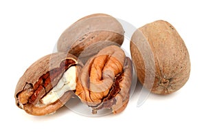 Pile of pecan nuts isolated.