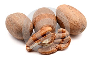 Pecan nuts. White, hazel.