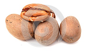 Pile of pecan nuts isolated.