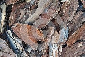 A pile of pine bark