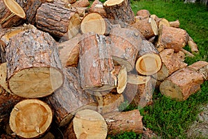 Pile of pine chocks on the ground