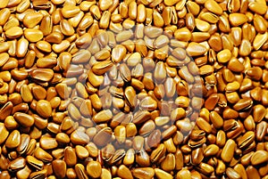 A pile of pine tree nuts