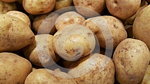 Pile of potatoes or Solanum tuberosum