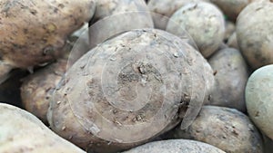 A pile of potatoes sold in the groceries