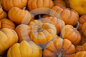 Pile of Pumpkins