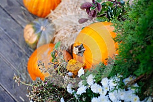 Pile of pumpkins sold at a market  for halloween